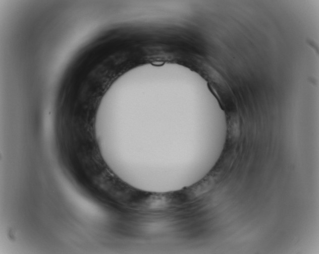 X0000097480764200803141935