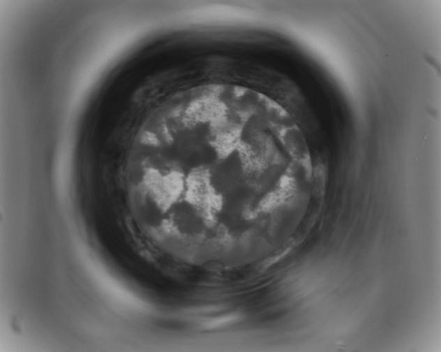 X0000097480765200803141935