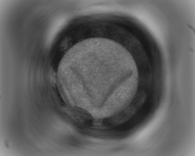 X0000097480766200803141935