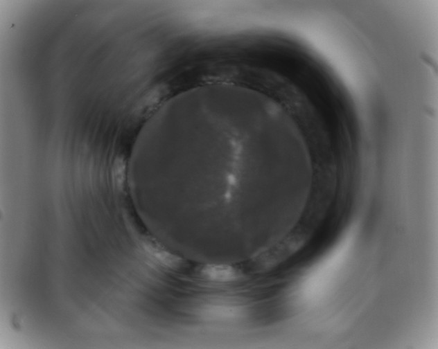 X0000097480767200803141935