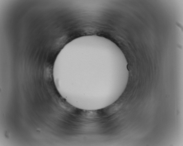 X0000097480768200803141935