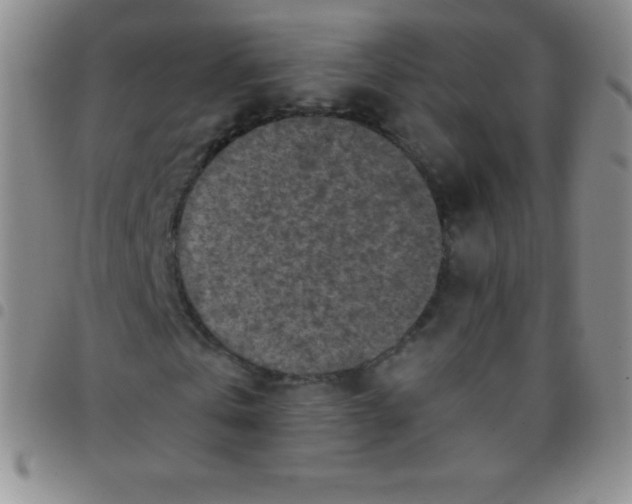 X0000097480769200803141934