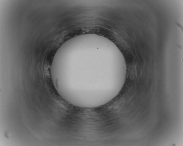 X0000097480770200803141934