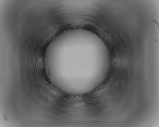 X0000097480772200803141934