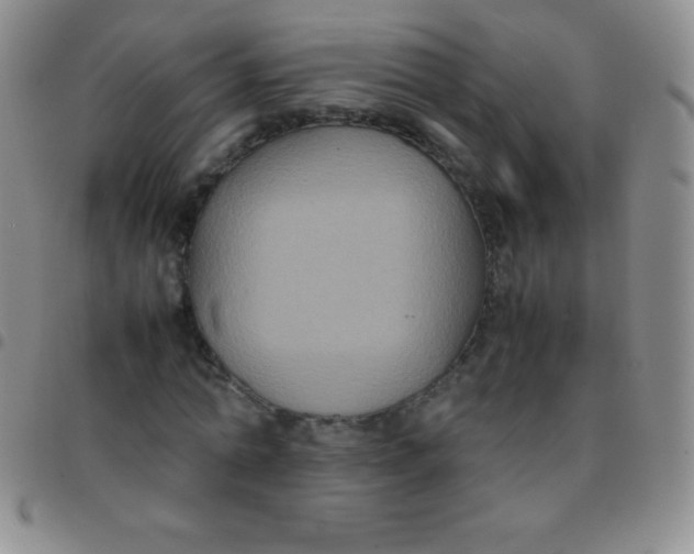 X0000097480774200803141934