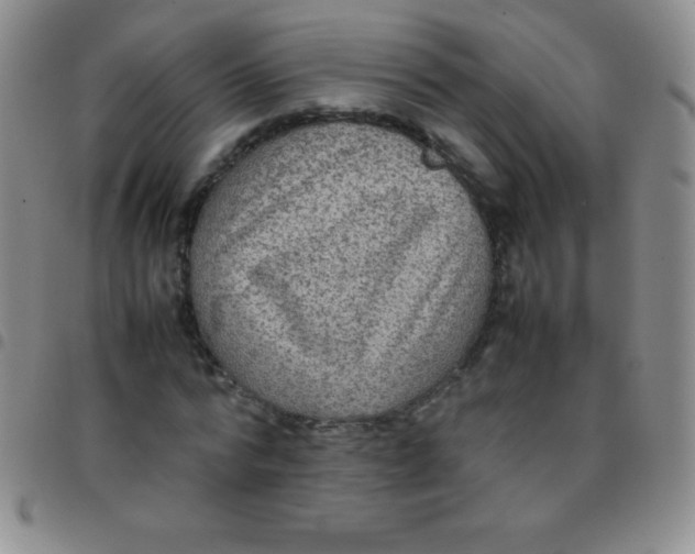 X0000097480776200803141934