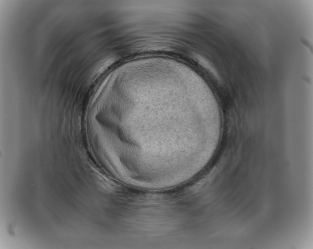 X0000097480777200803141934