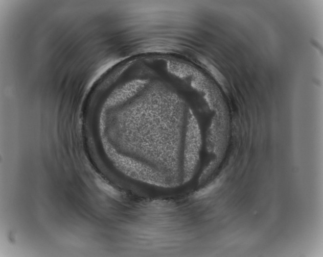 X0000097480779200803141934