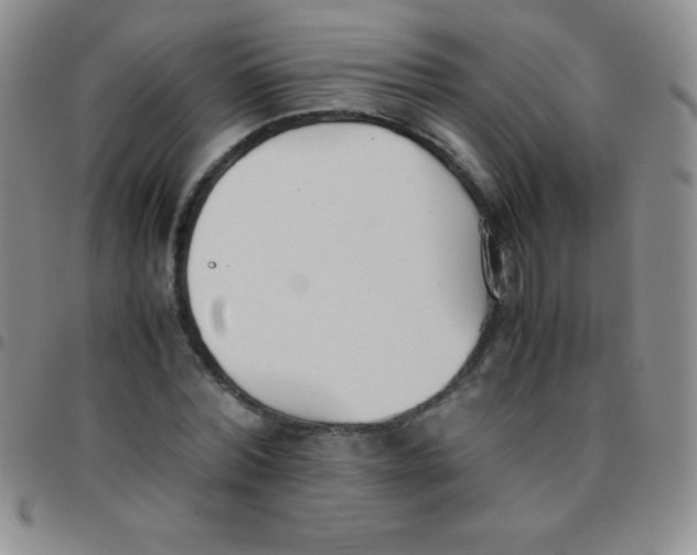 X0000097480780200803141934