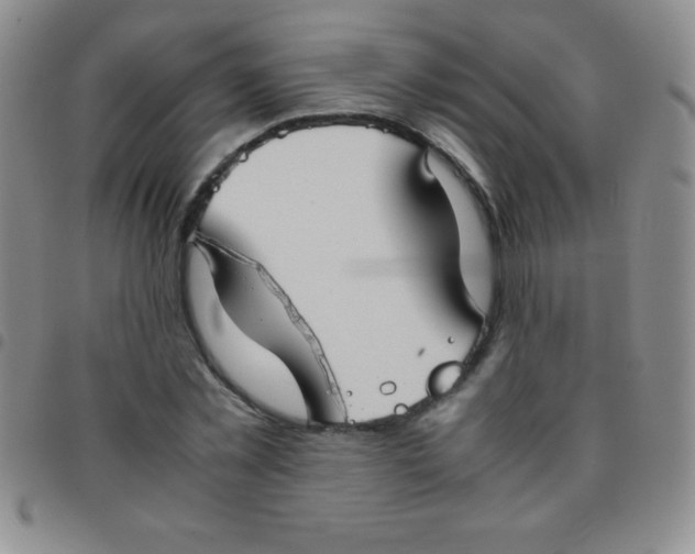 X0000097480781200803141934