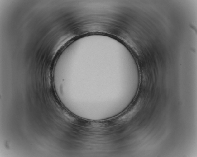 X0000097480782200803141934