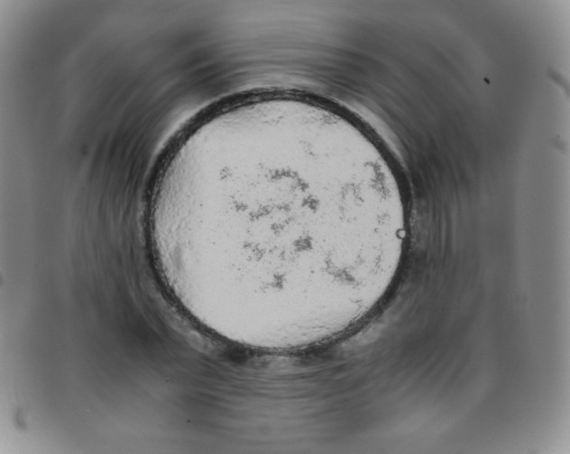 X0000097480783200803141934