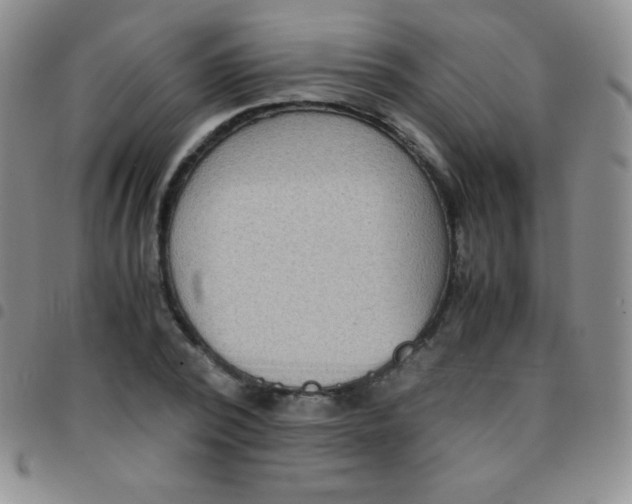 X0000097480784200803141934