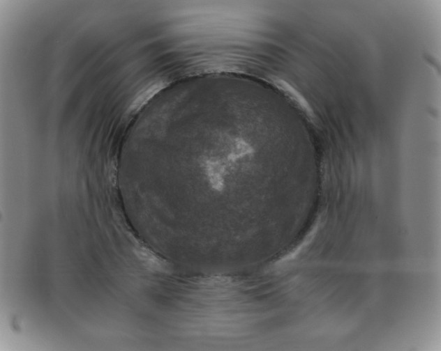 X0000097480785200803141934