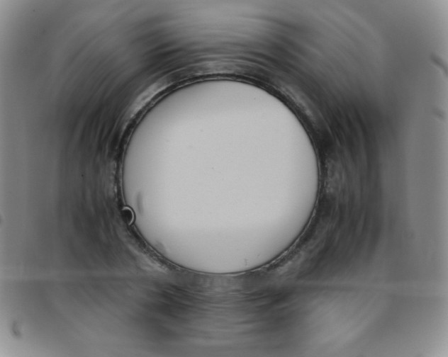 X0000097480786200803141934