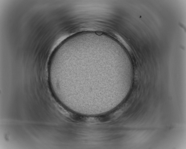 X0000097480787200803141934