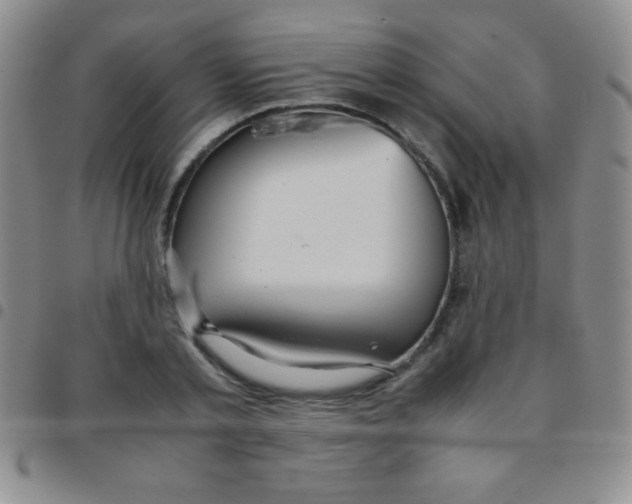 X0000097480789200803141934