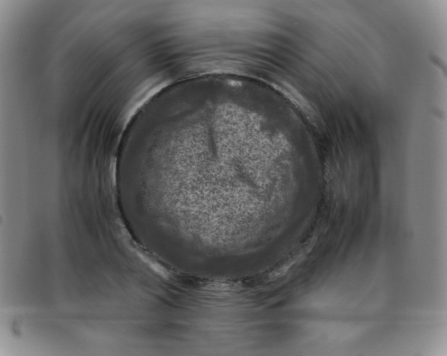 X0000097480790200803141934