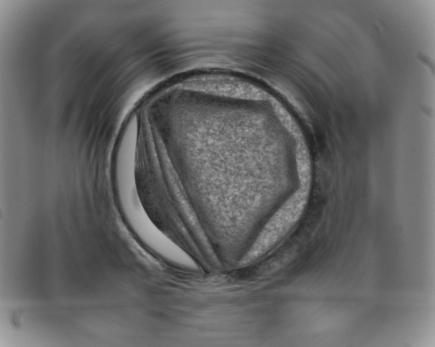 X0000097480791200803141934