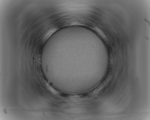 X0000097480793200803141934