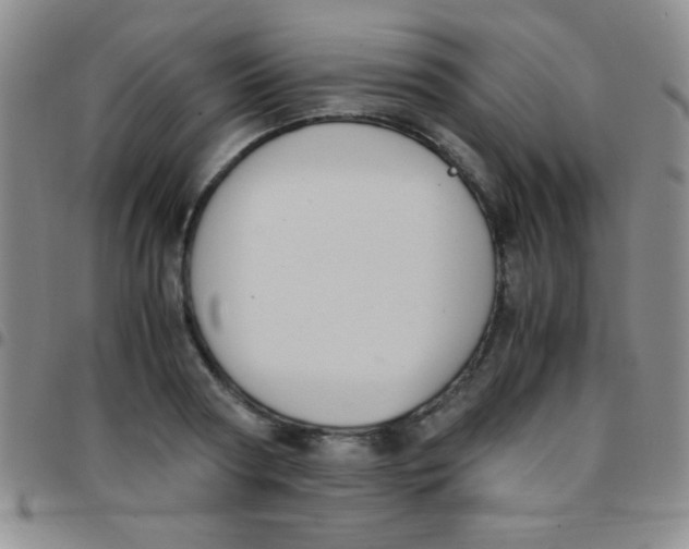 X0000097480794200803141934