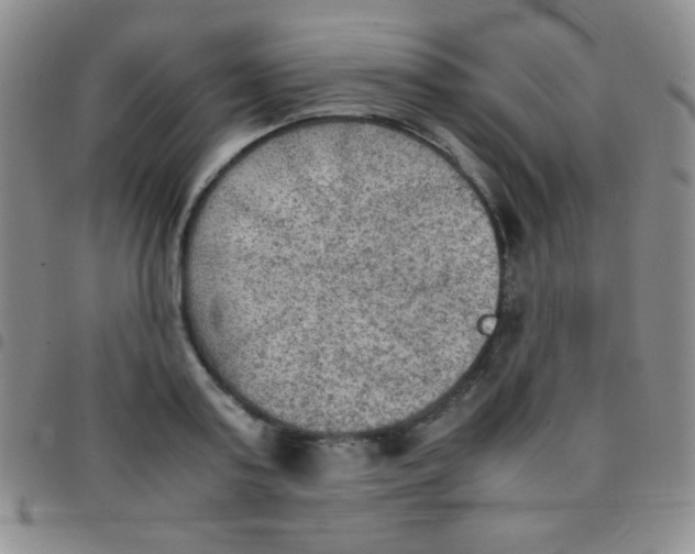 X0000097480795200803141934