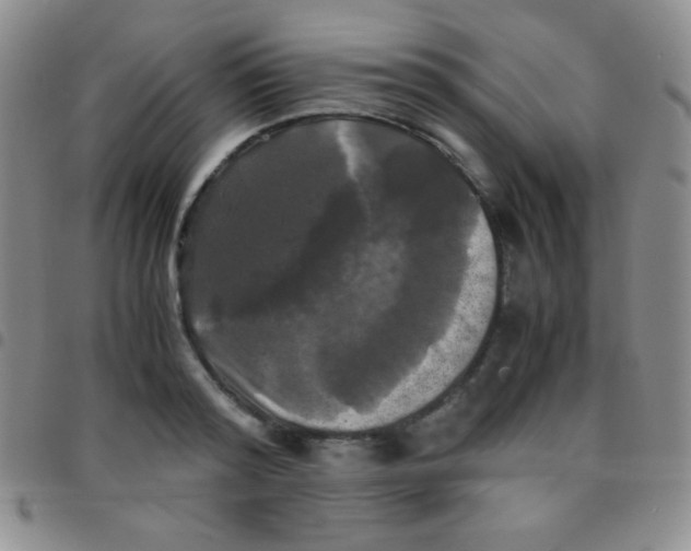 X0000097480796200803141934