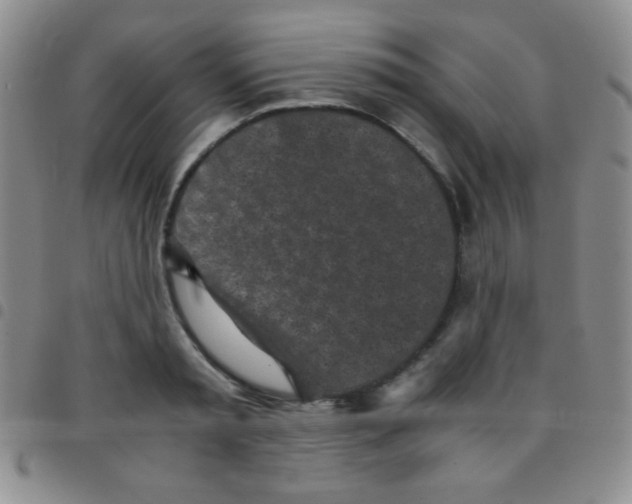 X0000097480797200803141934