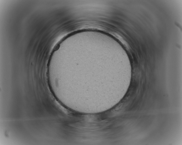 X0000097480799200803141934