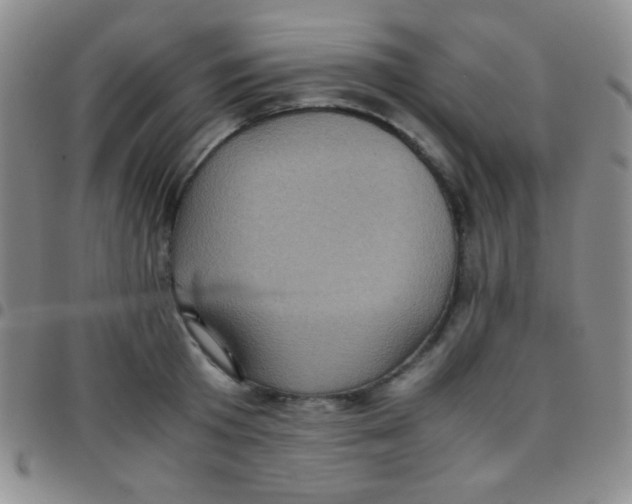 X0000097480801200803141934