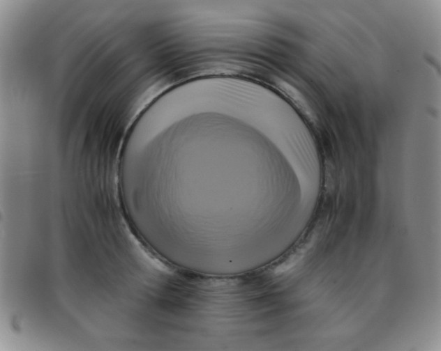 X0000097480802200803141934