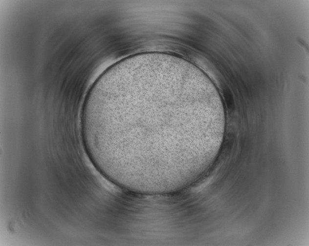 X0000097480803200803141934