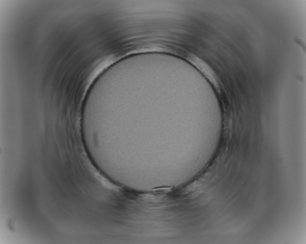 X0000097480805200803141934