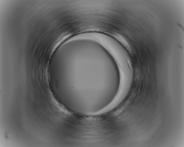 X0000097480806200803141934