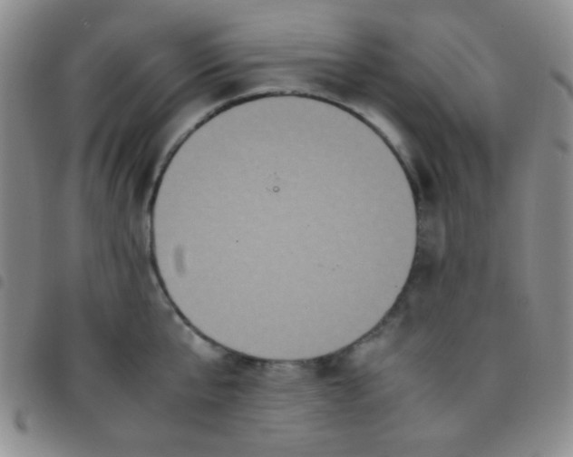 X0000097480807200803141934