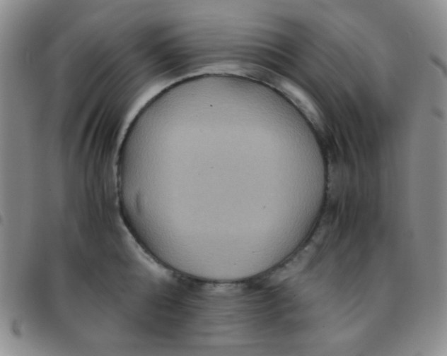 X0000097480808200803141934