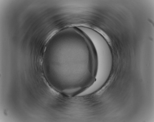 X0000097480809200803141934