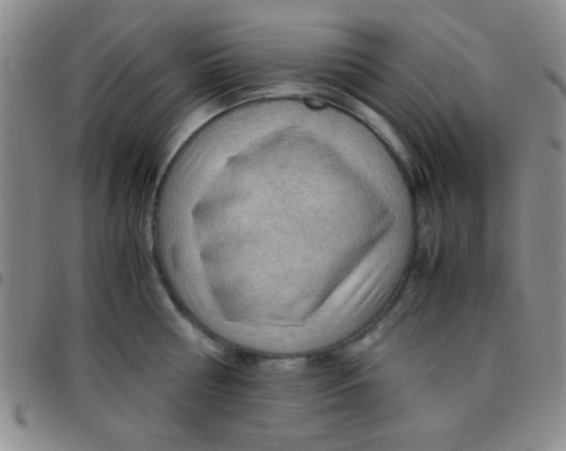 X0000097480810200803141933