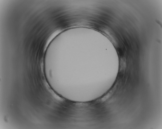 X0000097480812200803141933