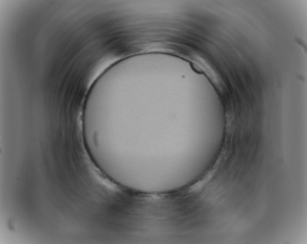 X0000097480814200803141933