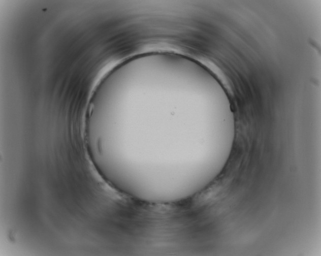 X0000097480815200803141933