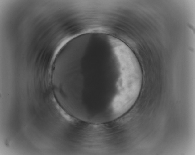 X0000097480816200803141933