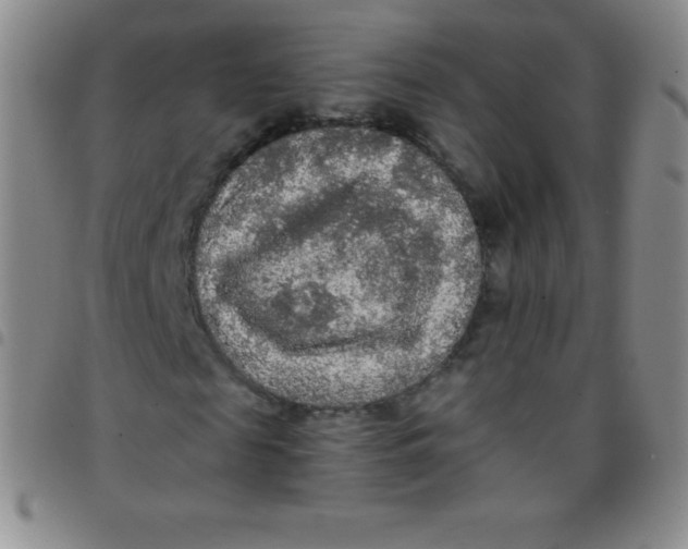 X0000097480817200803141933