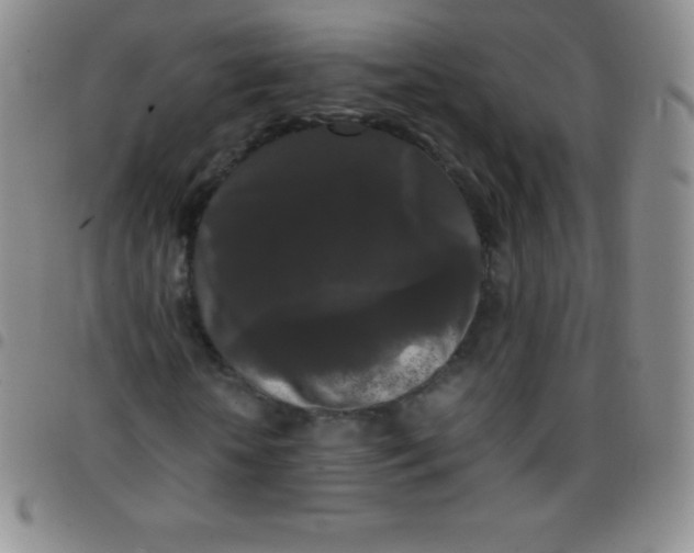 X0000097480818200803141933