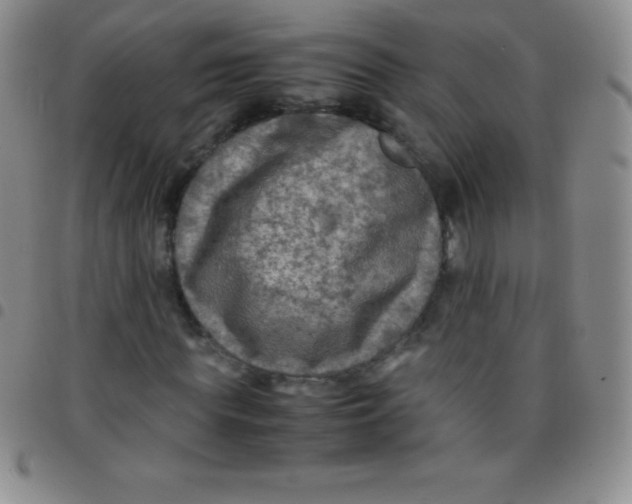 X0000097480819200803141933