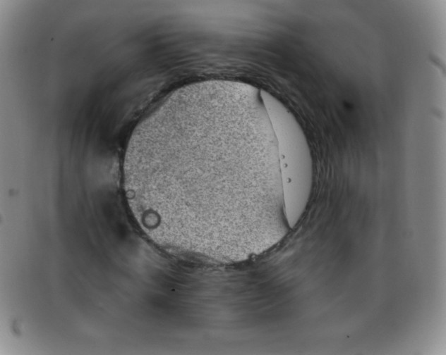 X0000097480820200803141933