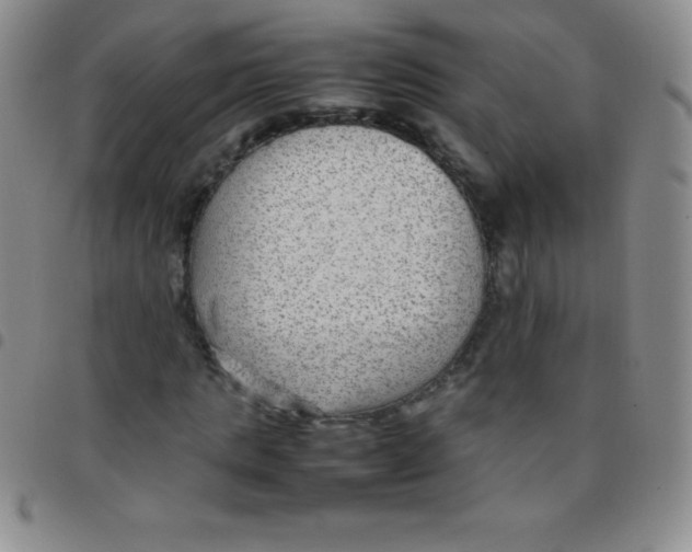 X0000097480821200803141933