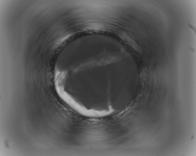 X0000097480822200803141933