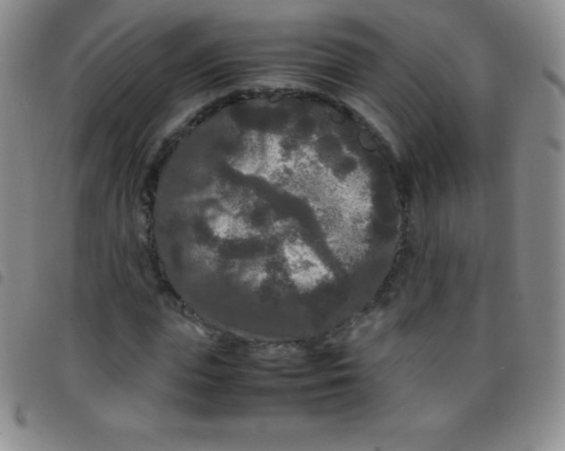 X0000097480823200803141933