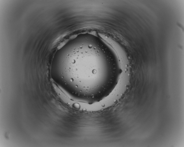 X0000097480824200803141933